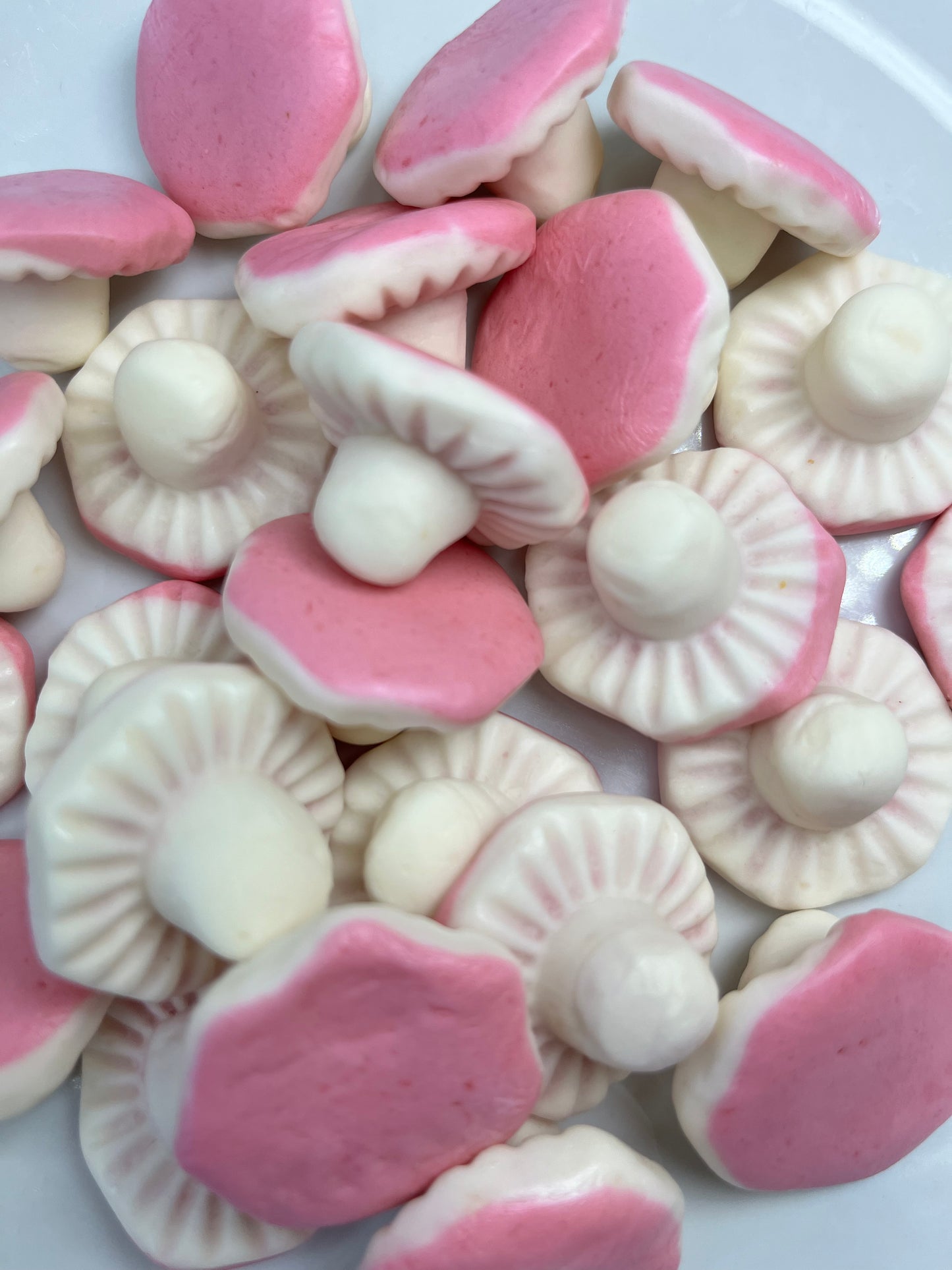 Wholesale Giant Mushrooms